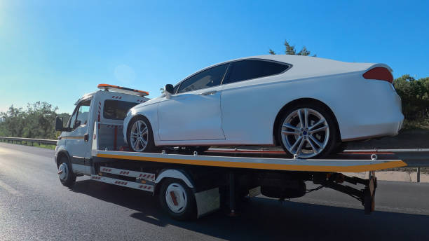 Car Carrier Services